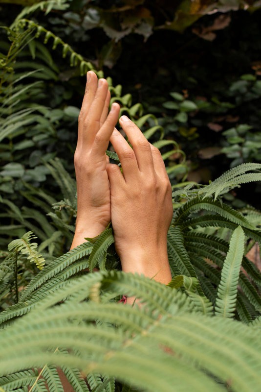 Mains-nature-foret Mains-nature-foret